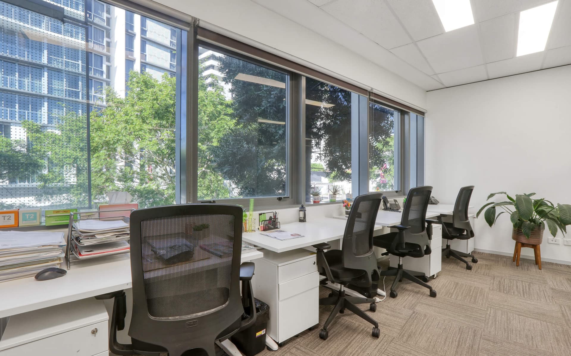 Office workspace featuring desks, chairs, a large window, and a view of a cityscape with trees.