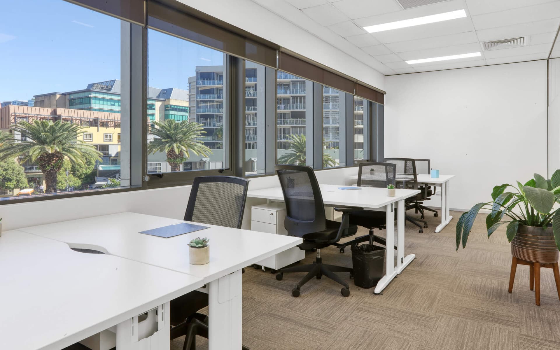 Image shows a modern, well-lit office area featuring adjustable-height white desks with ergonomic chairs. Large windows offer a daylit view of urban buildings and palm trees. Decorative plants add a touch of nature to the interior design.