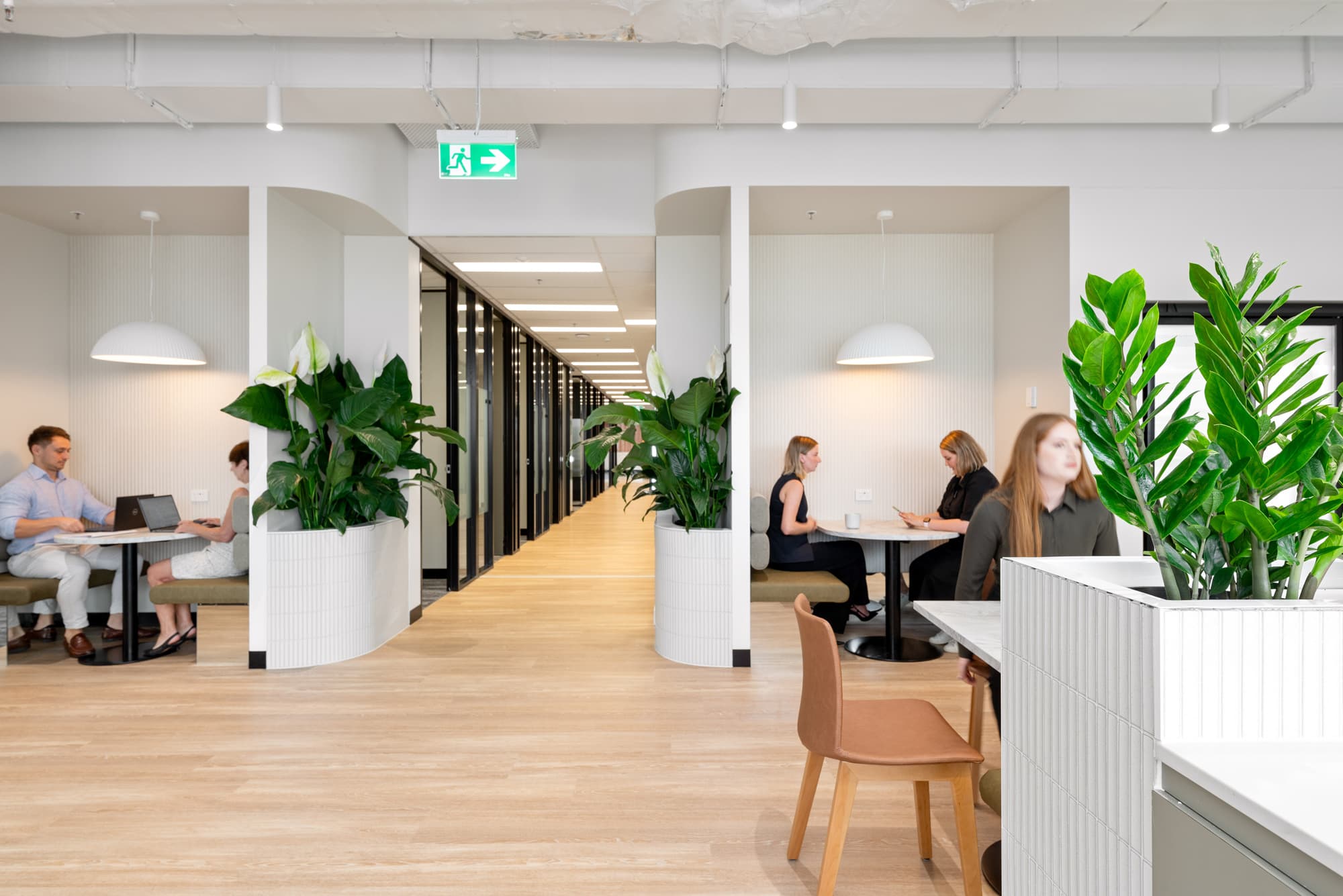 Modern office space share in Sydney with people working on laptops at tables, surrounded by large green plants, light wood flooring, white walls, and a hallway lined with doors in the background.