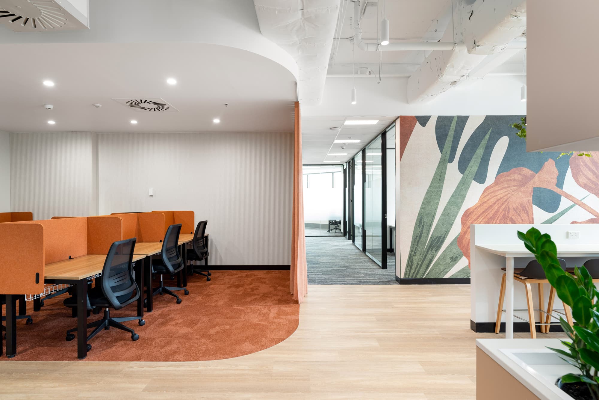 Modern office space share in Sydney featuring multiple orange-accented workstations, black chairs, a light wood floor, a plant, and a mural with large leaves on the wall near glass-walled meeting rooms.
